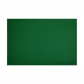 Set de table 30x40cm Vert sapin COLOR (13B01)
